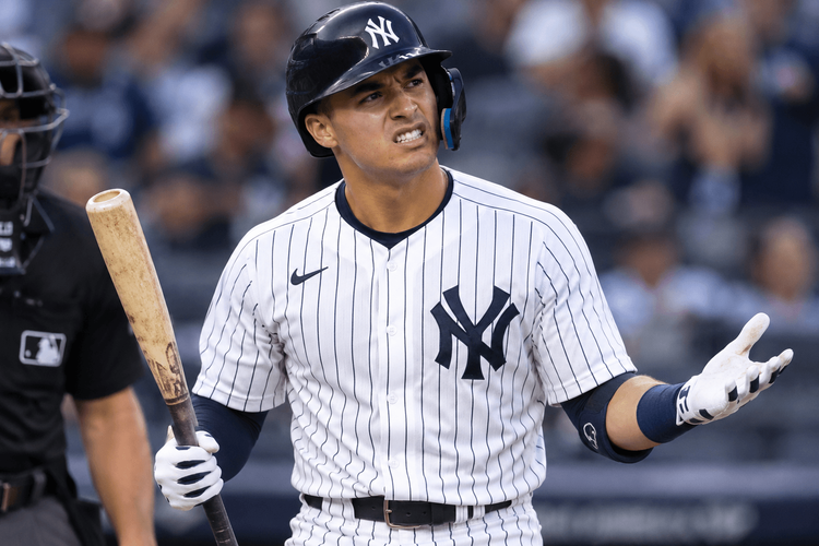 THE YANKEES FINALLY FOUND A WAY TO LOSE A HOME RUN TO A FAN… AGAIN! 